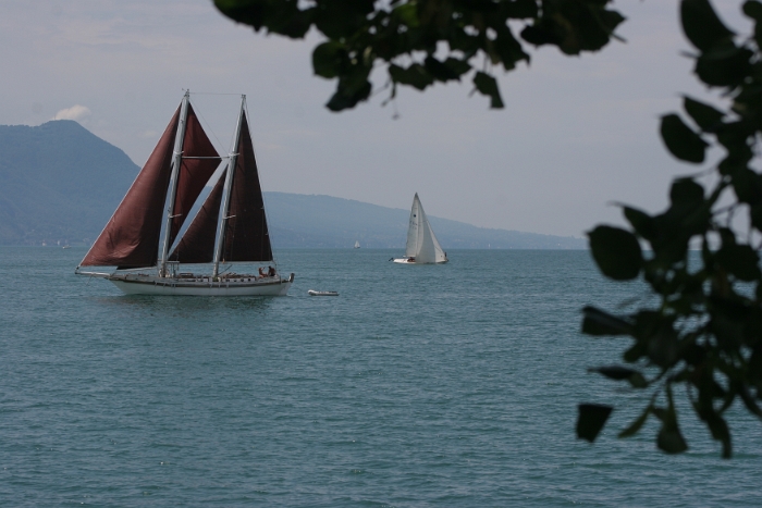 Regates Vieux Bateaux - 005